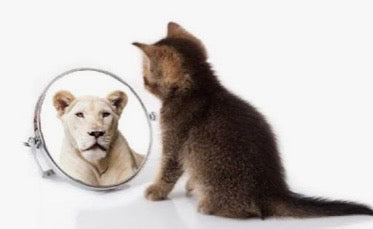 The Life You See Begins Within You